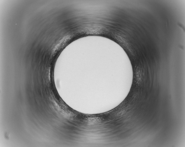 X0000099310686200805301154