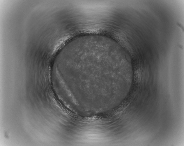X0000099310688200805301154