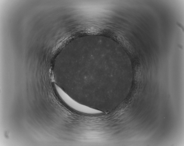 X0000099310689200805301154