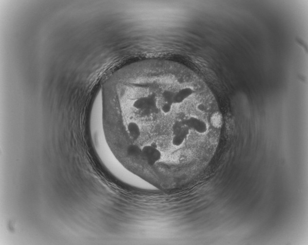 X0000099310691200805301154