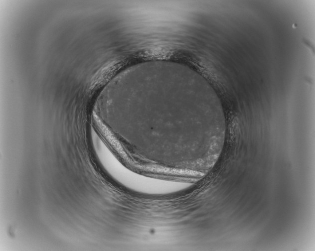 X0000099310693200805301154