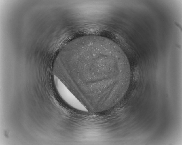 X0000099310695200805301154