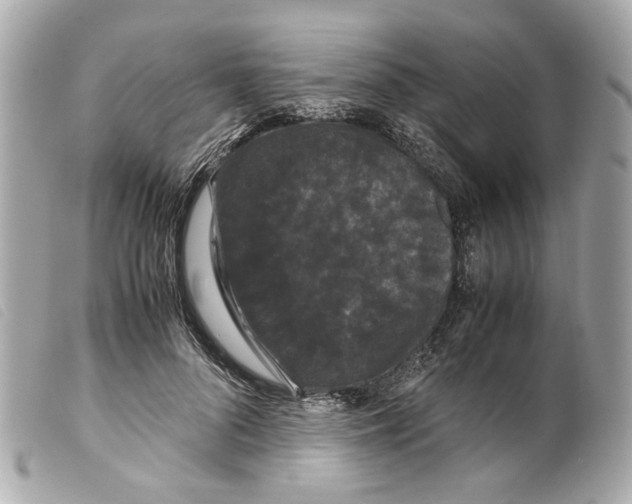 X0000099310696200805301154