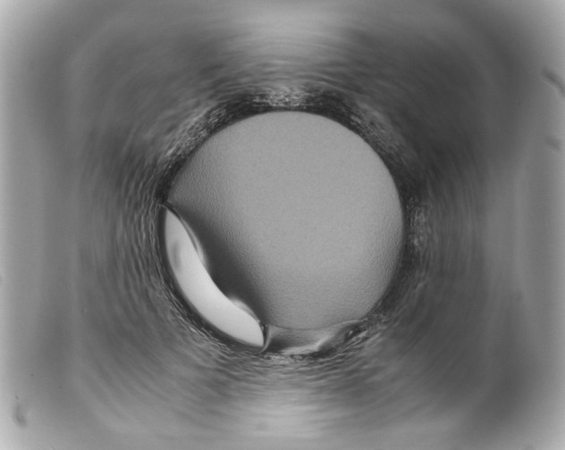 X0000099310697200805301154