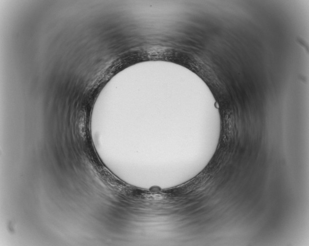 X0000099310698200805301154