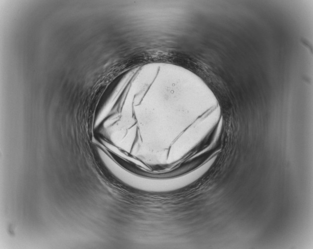 X0000099310703200805301154