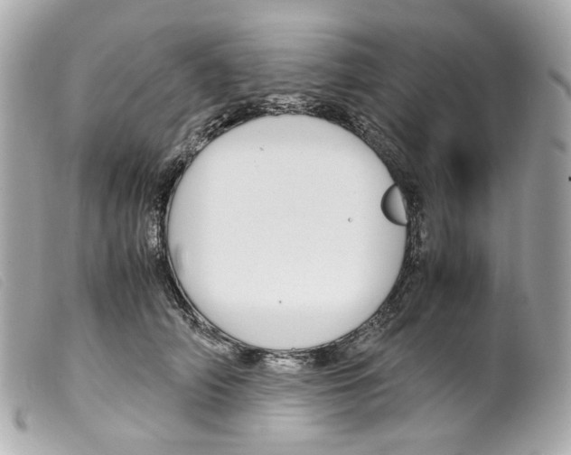 X0000099310706200805301154