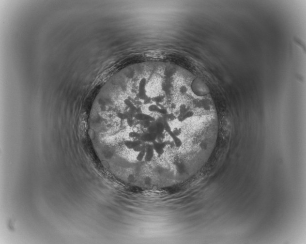 X0000099310707200805301154