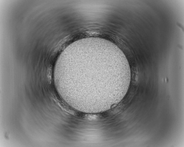 X0000099310710200805301154