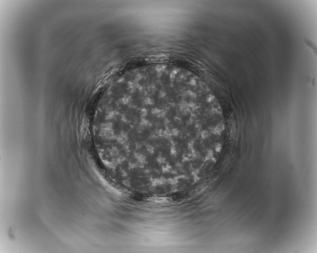 X0000099310711200805301154