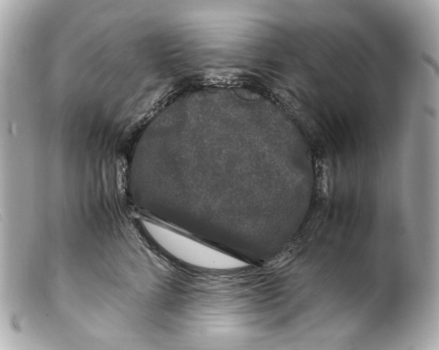 X0000099310712200805301154