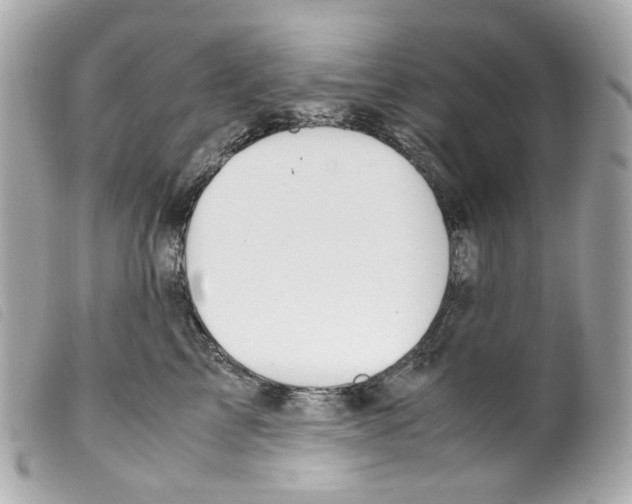 X0000099310713200805301154