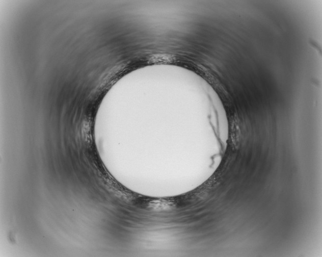 X0000099310714200805301154