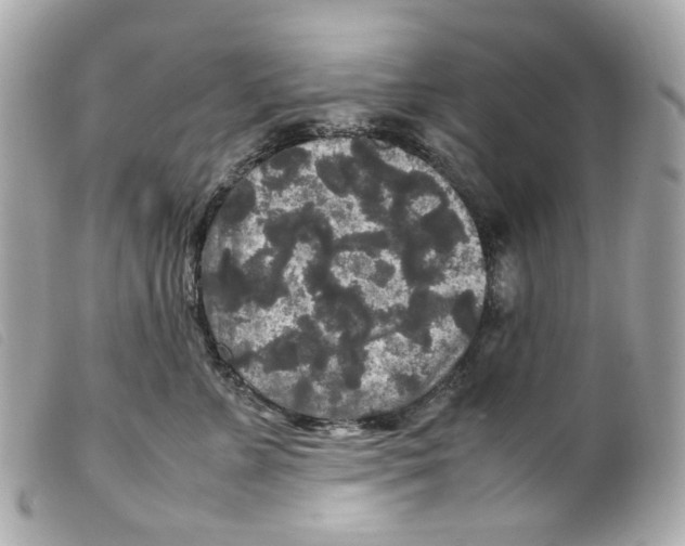 X0000099310715200805301154