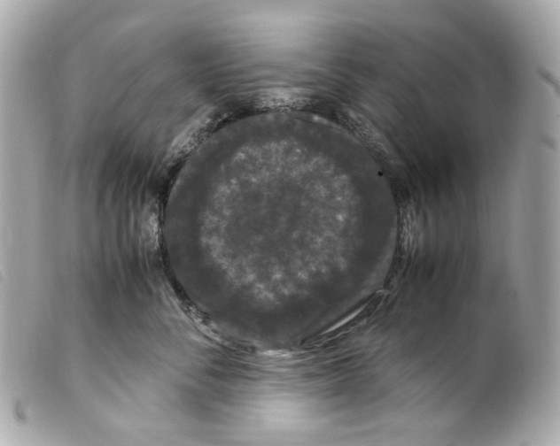 X0000099310716200805301154