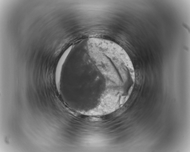 X0000099310718200805301154