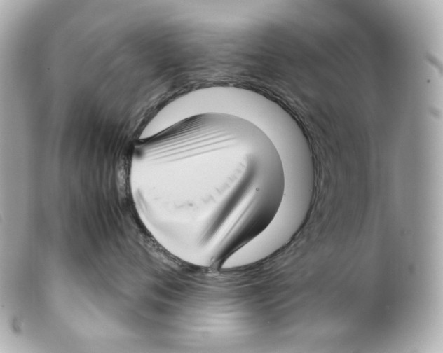 X0000099310720200805301154