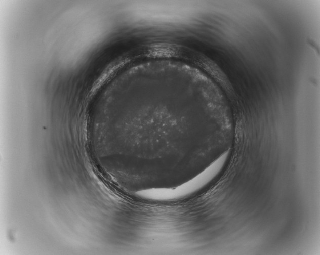 X0000099310722200805301153