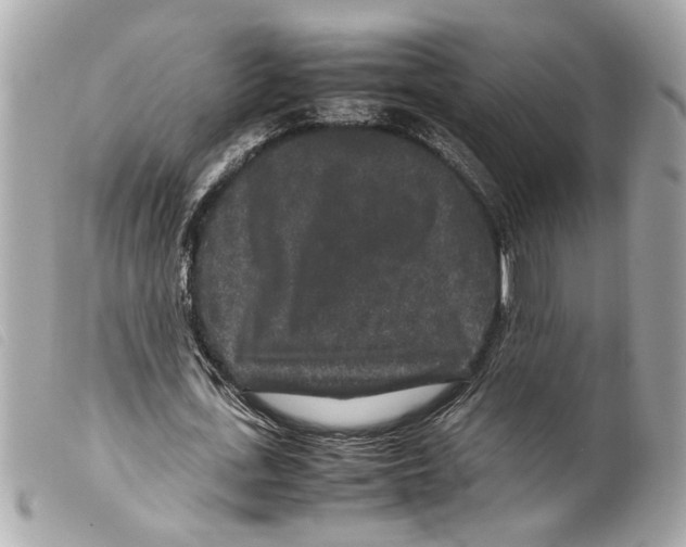 X0000099310723200805301153
