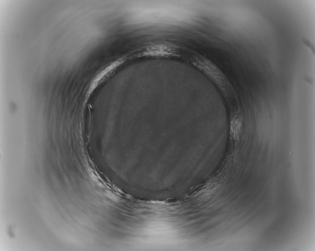 X0000099310724200805301153