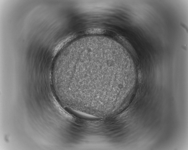 X0000099310725200805301153