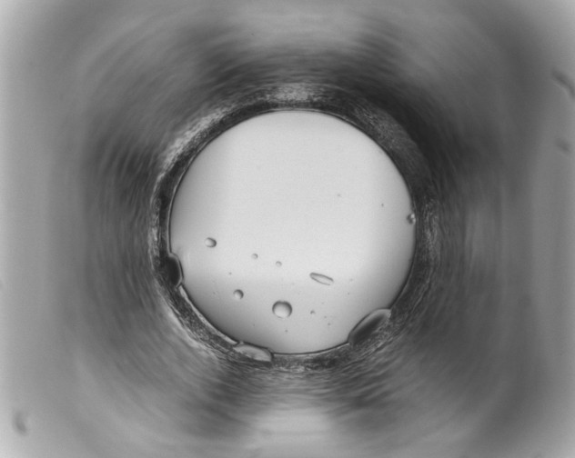 X0000099310728200805301153
