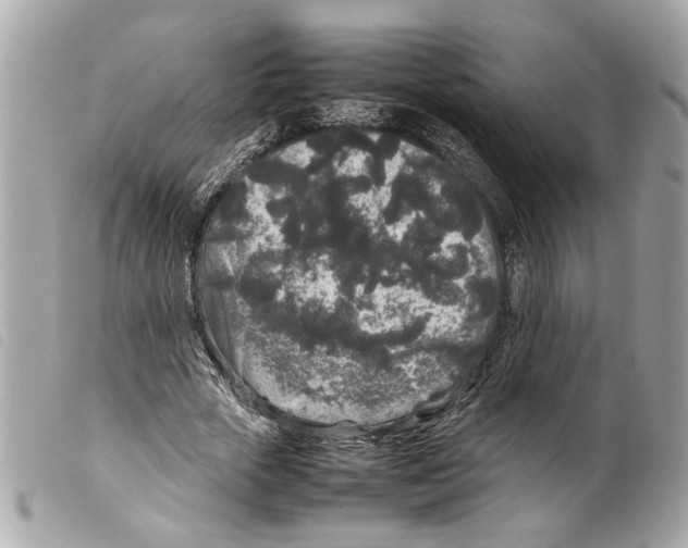 X0000099310729200805301153