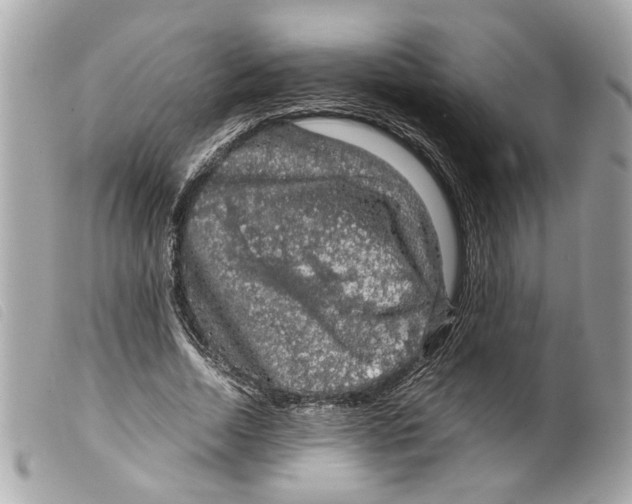 X0000099310730200805301153