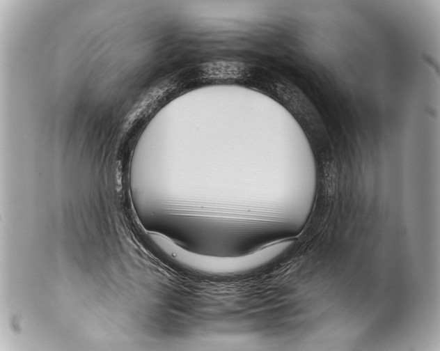 X0000099310731200805301153