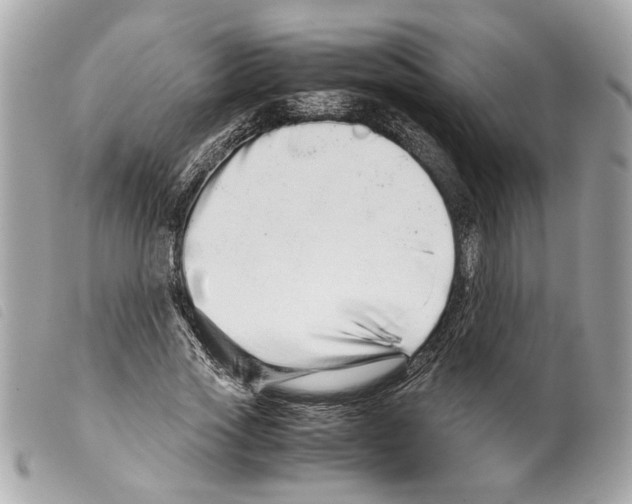 X0000099310733200805301154