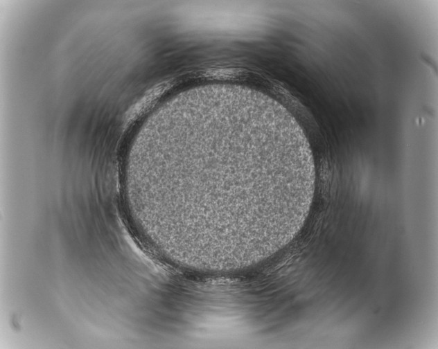 X0000099310734200805301154