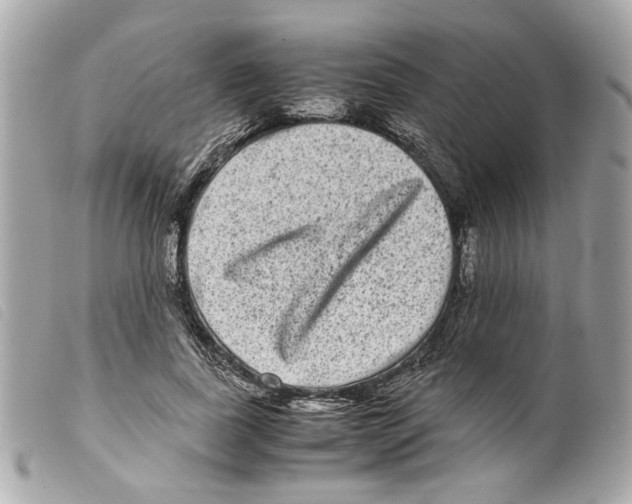 X0000099310739200805301154