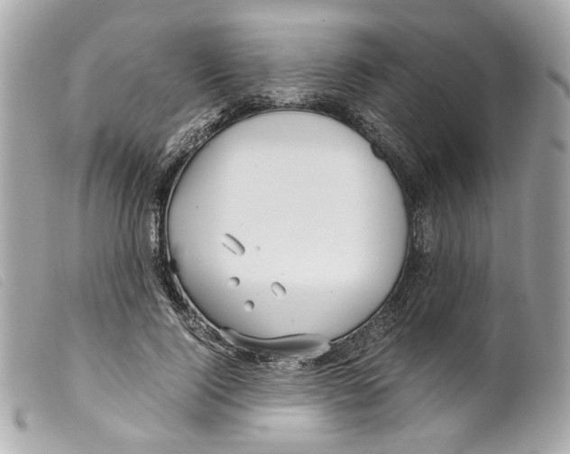 X0000099310740200805301154