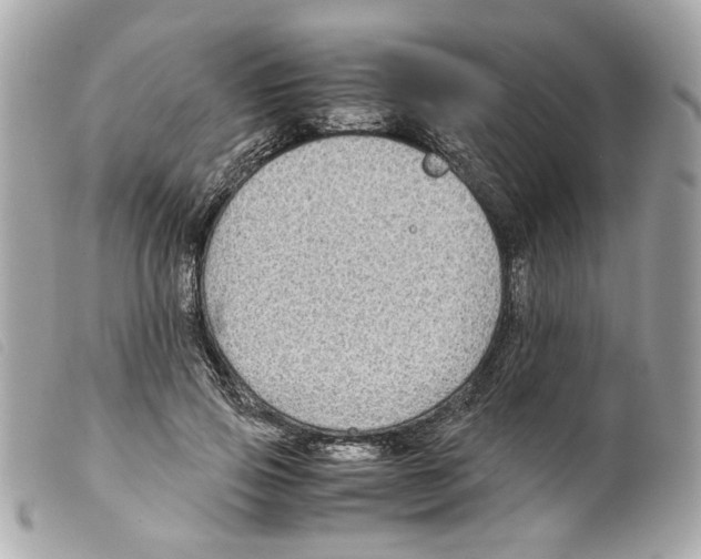 X0000099310741200805301154