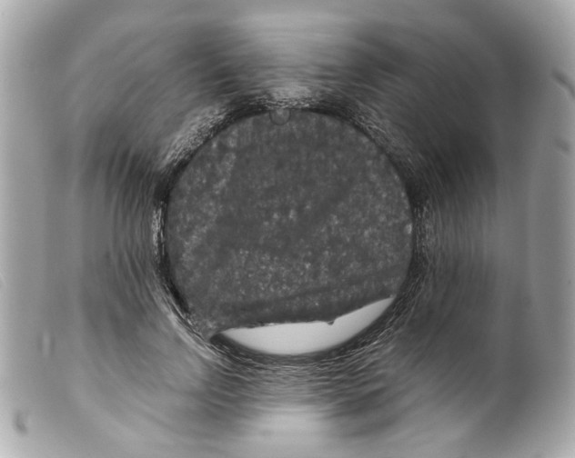 X0000099310742200805301154