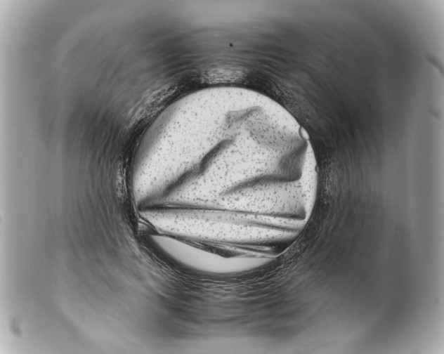 X0000099310743200805301154