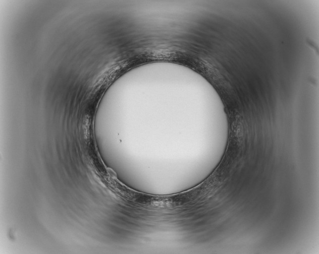 X0000099310744200805301154
