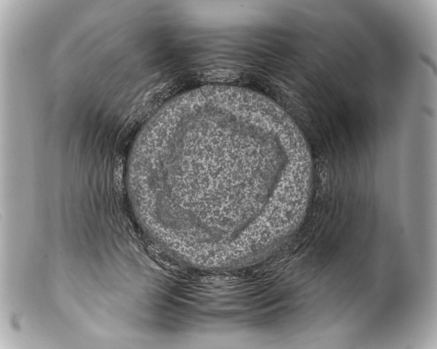 X0000099310745200805301154