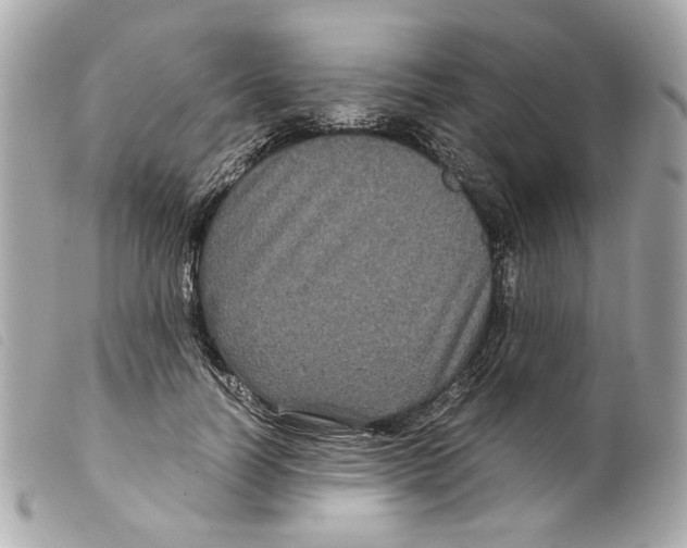 X0000099310746200805301154