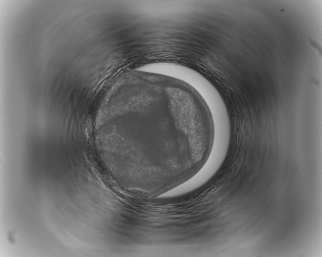 X0000099310747200805301154