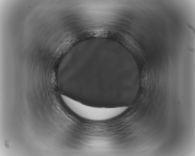 X0000099310748200805301154