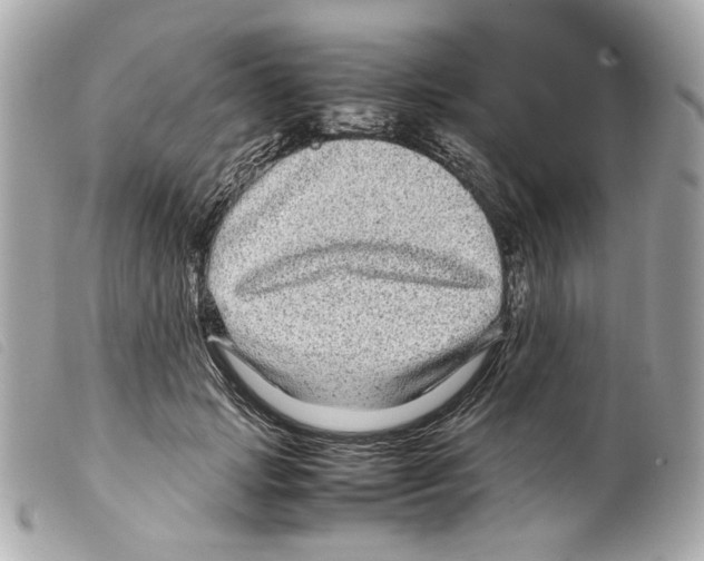 X0000099310749200805301154