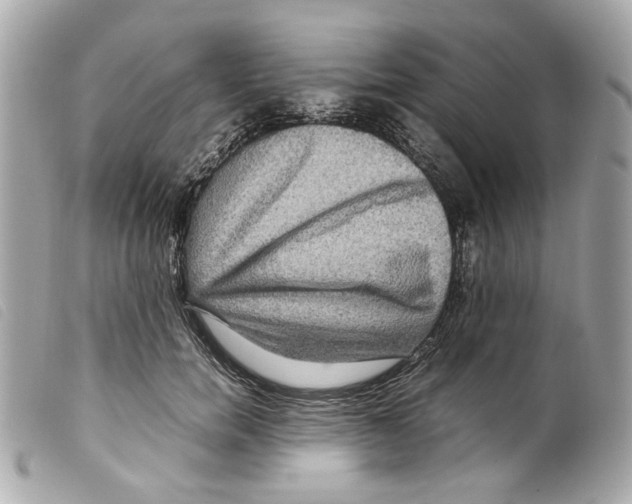 X0000099310750200805301154