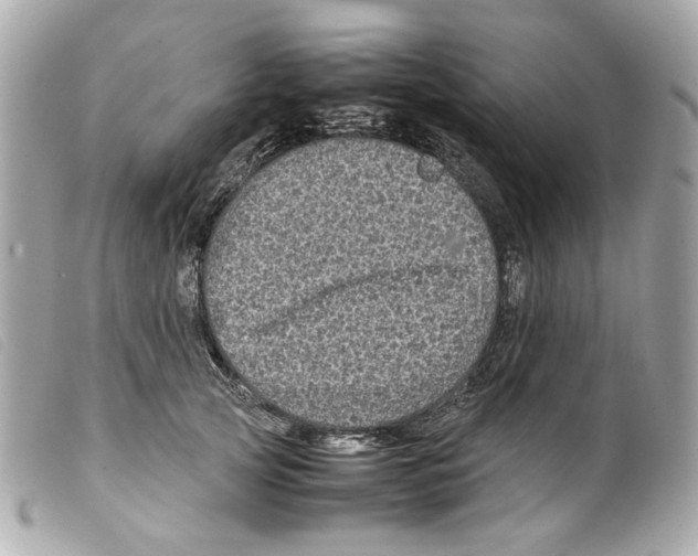 X0000099310753200805301154