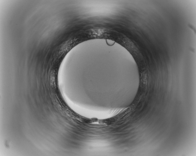 X0000099310754200805301154