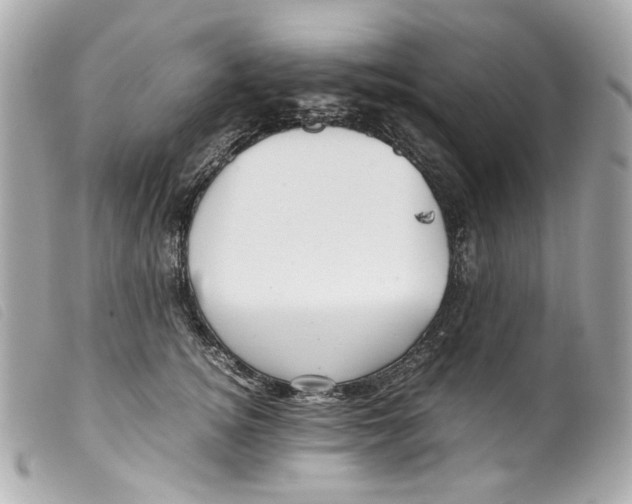 X0000099310756200805301154