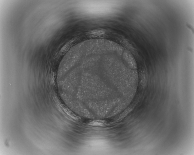 X0000099310758200805301154