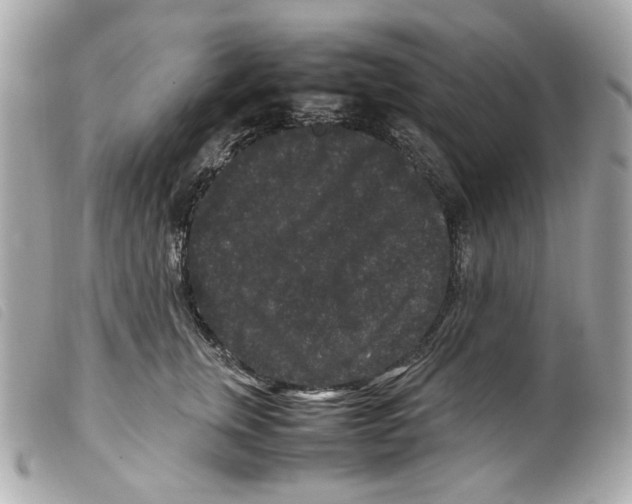 X0000099310759200805301154