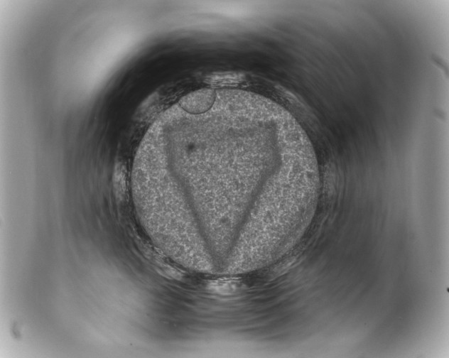 X0000099310761200805301154