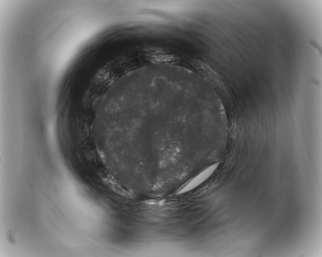X0000099310763200805301154